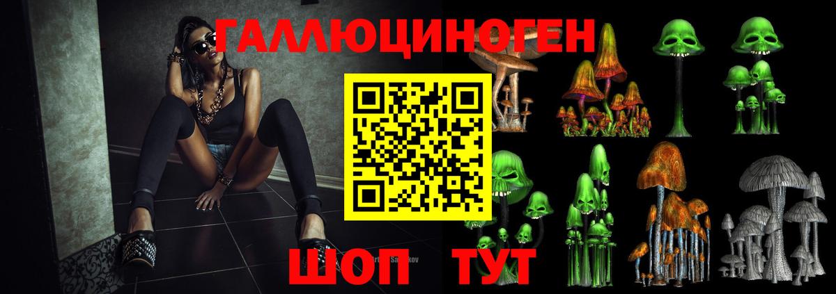 Шали  Галлюциногенные грибы MAGIC MUSHROOMS  Вход с VPN 